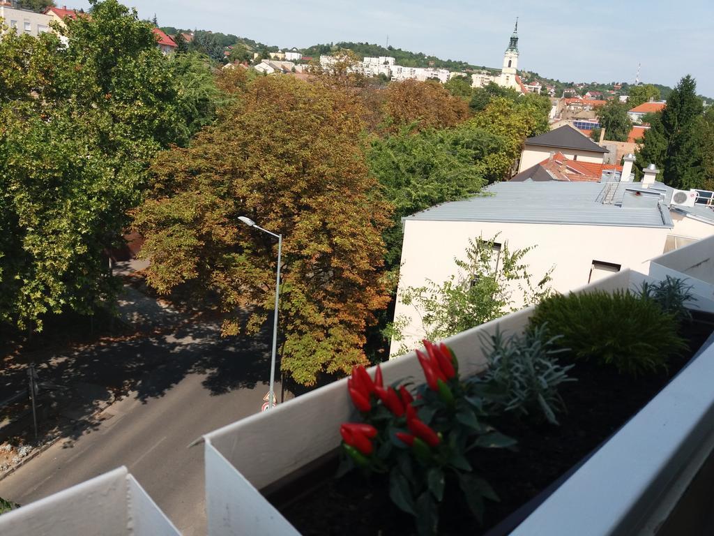 Malnas Macska Apartman Szekszárd Екстериор снимка